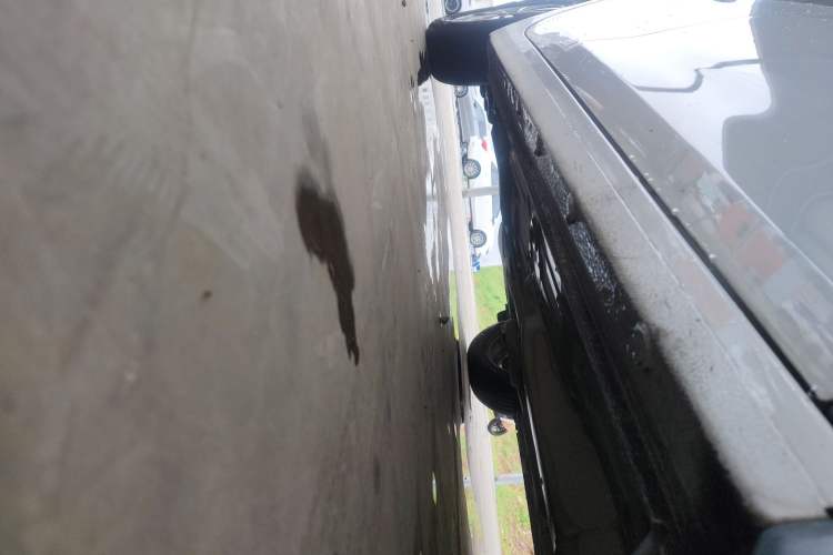 Used Chevrolet Cavalier 2019 320 Automatic Xinyue Edition Right Side Sill