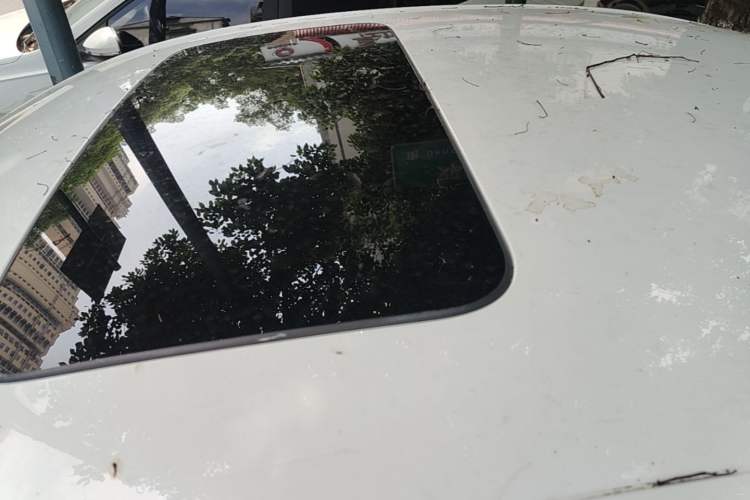Used Chevrolet Cavalier 2019 320 Automatic Enjoyment with Sunroof Roof