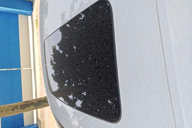 Used Chevrolet Cavalier 2019 320 Automatic Enjoyment with Sunroof Roof