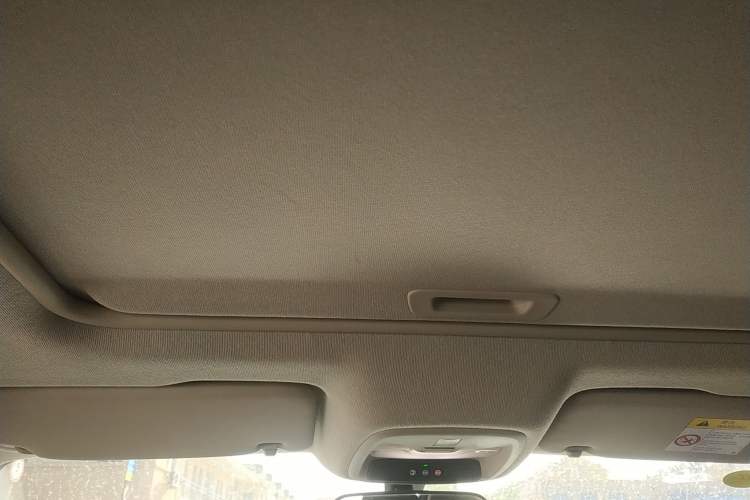 Used Chevrolet Cavalier 2020 Redline 325T Automatic Xinshang Edition Headliner