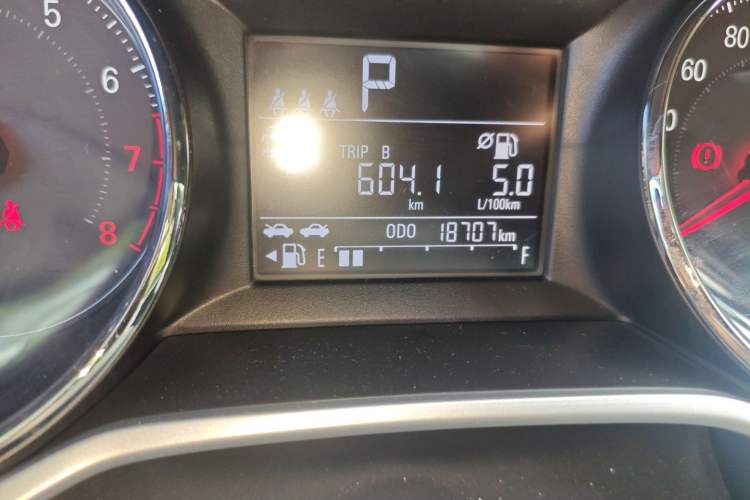Used Chevrolet Cavalier 2020 325T Automatic Enjoyment Edition Odometer Close Up