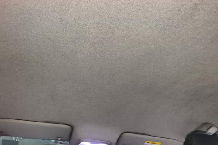 Used Chevrolet Cavalier 2020 325T Automatic Enjoyment Edition Headliner
