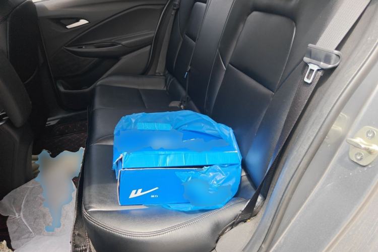 Used Chevrolet Cavalier 2020 Redline 325T Automatic Xinshang Edition China VI Standard Left Rear Seat