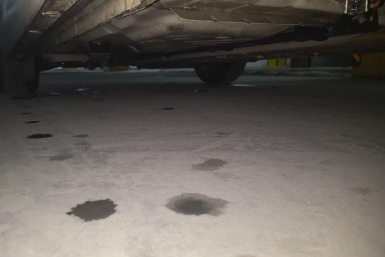 Used Chevrolet Cavalier 2020 Redline 325T Automatic Xinshang Edition Chassis Rear Left