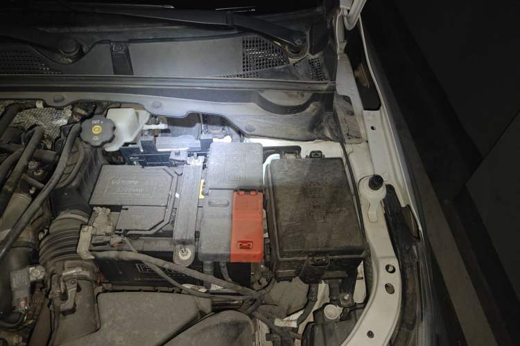 Used Chevrolet Cavalier 2020 325T Automatic Enjoyment Edition Engine Bay Left