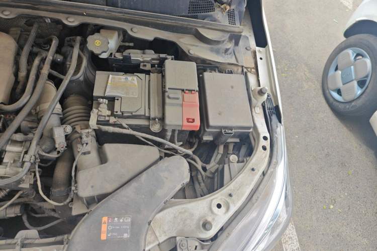 Used Chevrolet Cavalier 2020 325T Automatic Enjoyment Edition Engine Bay Left