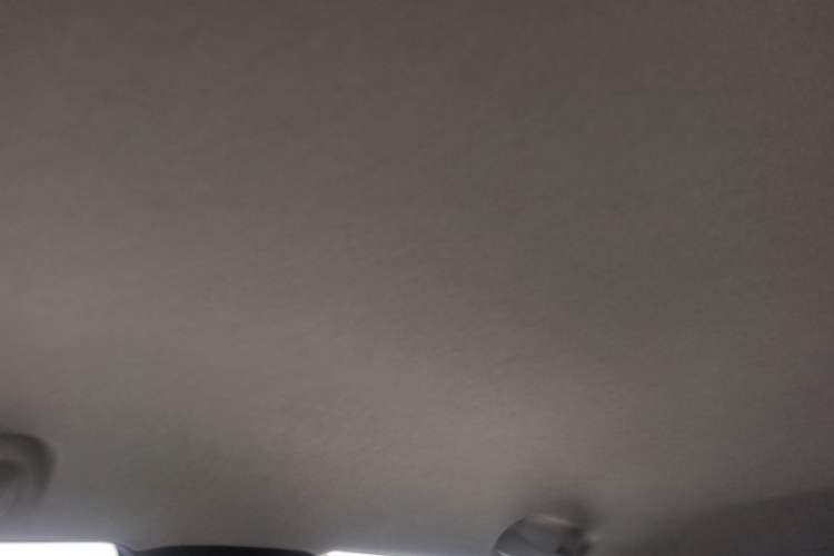 Used Chevrolet Cavalier 2020 325T Automatic Enjoyment Edition Headliner