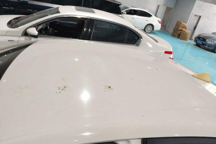 Used Chevrolet Cavalier 2020 325T Automatic Enjoyment Edition Roof