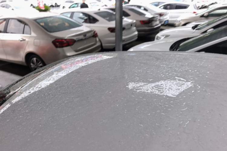 Used Chevrolet Cavalier 2020 325T Automatic Enjoyment Edition Roof