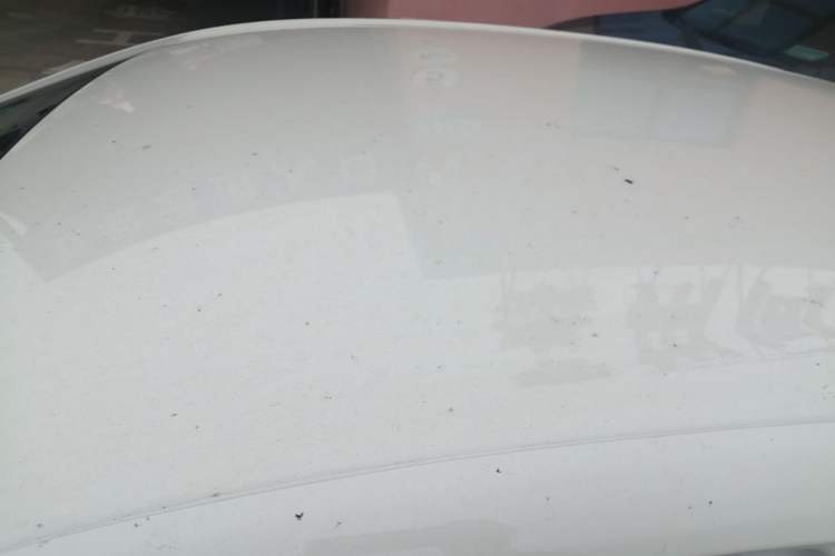 Used Chevrolet Cavalier 2020 325T Automatic Enjoyment Edition Roof