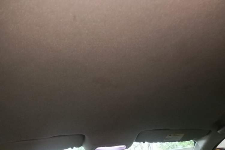 Used Chevrolet Cavalier 2021 325T Automatic Enjoyment Edition Headliner