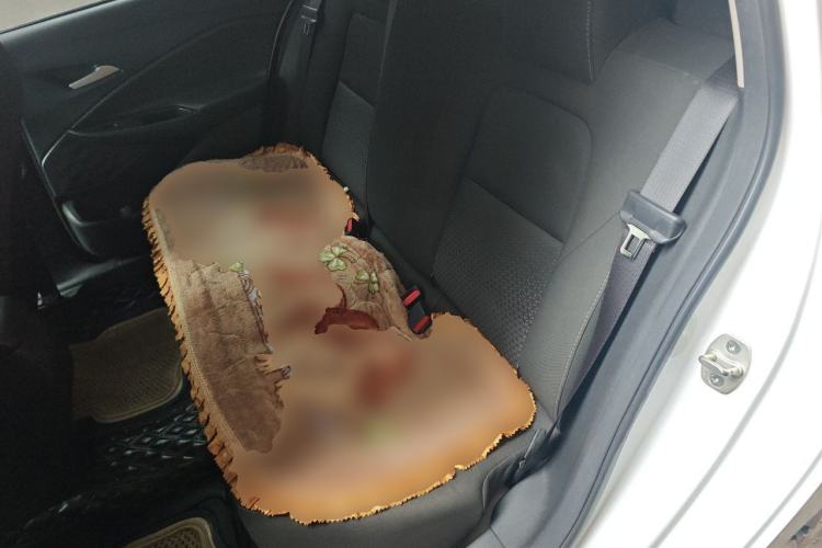 Used Chevrolet Cavalier 2022 325T Automatic Enjoyment Edition Left Rear Seat