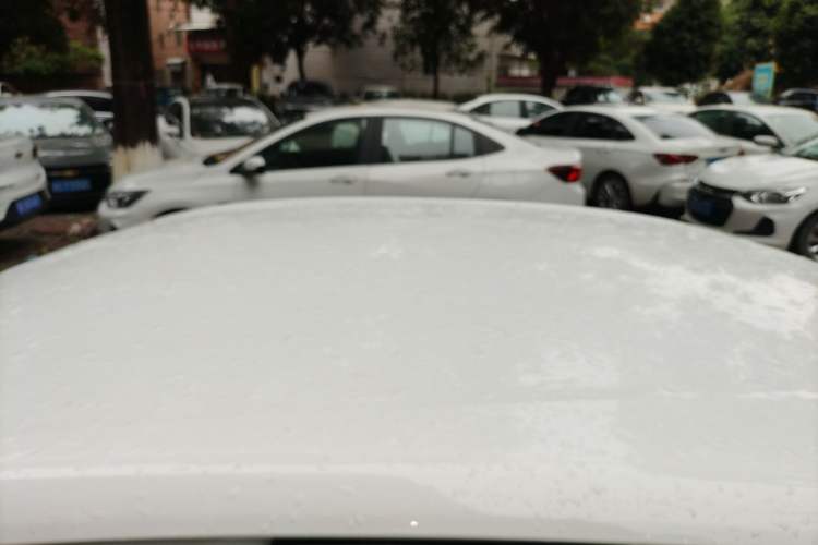 Used Chevrolet Cavalier 2022 325T Automatic Enjoyment Edition Roof