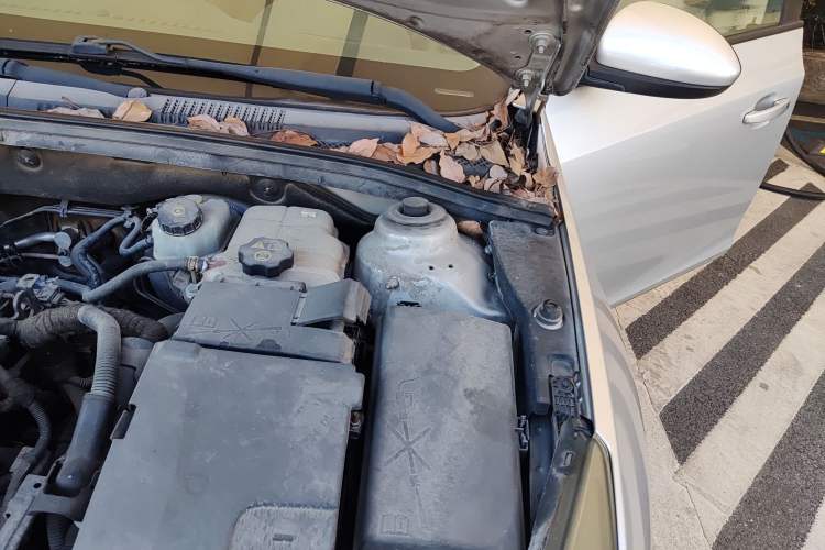 Used Chevrolet Cruze 2010 1.6L SL Grand Touring Edition MT Engine Bay Left