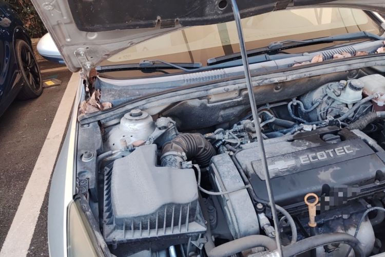 Used Chevrolet Cruze 2010 1.6L SL Grand Touring Edition MT Engine Bay Right