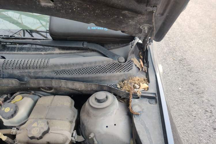 Used Chevrolet Cruze 2011 1.8L SX Automatic Transmission Engine Bay Left