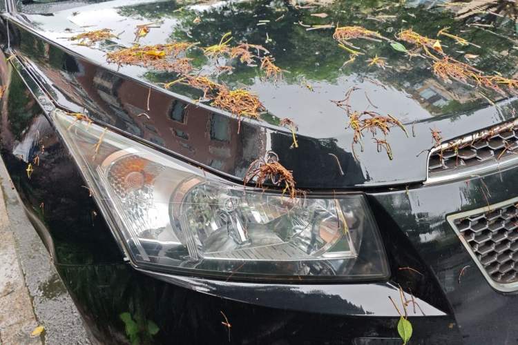 Used Chevrolet Cruze 2012 1.6L SE Automatic Right Front Headlight