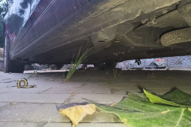 Used Chevrolet Cruze 2012 1.6L SE MT Chassis Rear Left