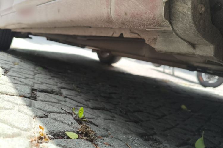 Used Chevrolet Cruze 2013 1.6L SE MT Chassis Front Right