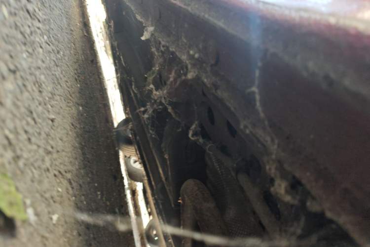 Used Chevrolet Cruze 2013 1.6L SE MT Chassis Rear Left