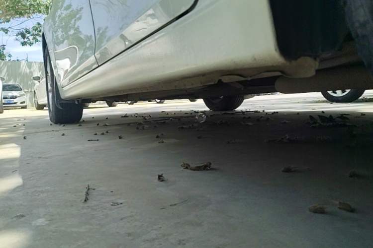 Used Chevrolet Cruze 2013 1.8L SE AT Chassis Rear Left