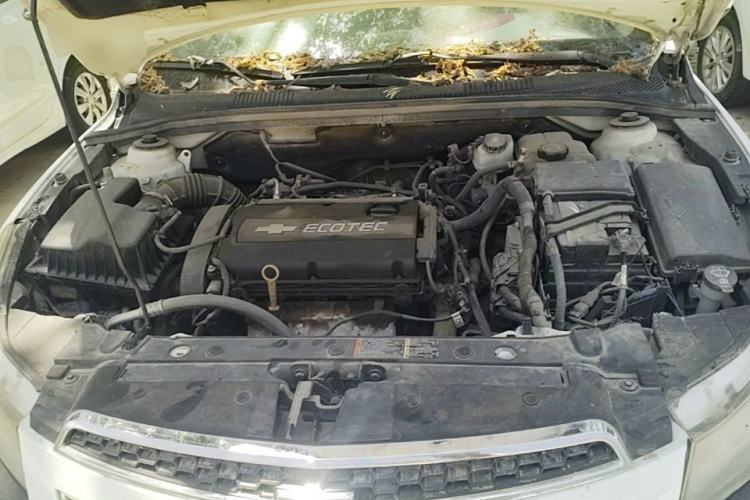Used Chevrolet Cruze 2013 1.8L SE AT Engine Bay