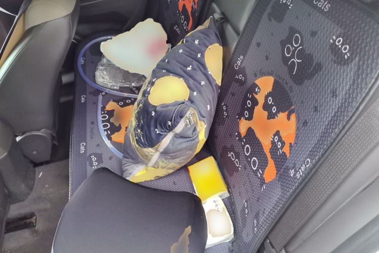 Used Chevrolet Cruze 2013 1.6L SE AT Left Rear Seat
