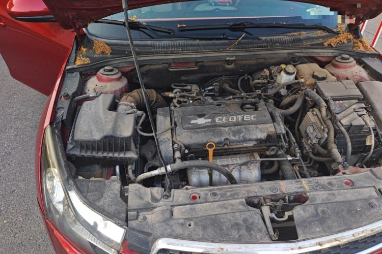 Used Chevrolet Cruze 2014 1.6L SL Millionth Anniversary Edition AT Engine Bay Right