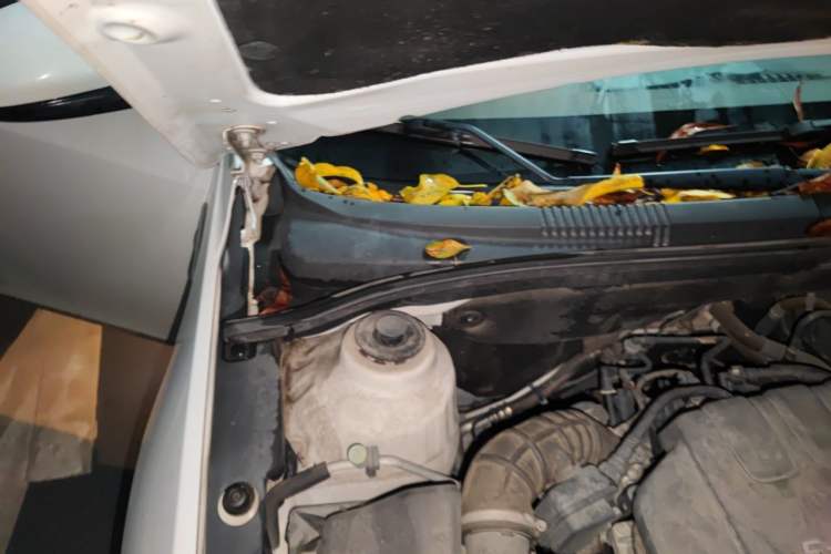 Used Chevrolet Cruze 2015 1.5L Classic SE AT Engine Bay Right