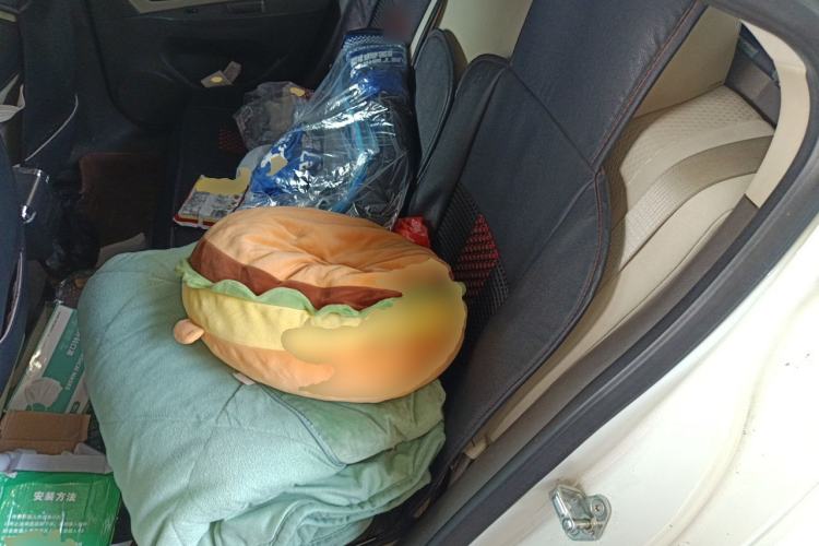 Used Chevrolet Cruze 2015 1.5L Classic SL MT Left Rear Seat