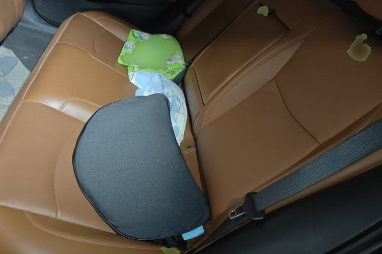 Used Chevrolet Cruze 2016 1.4T DCG Luxury Edition Left Rear Seat