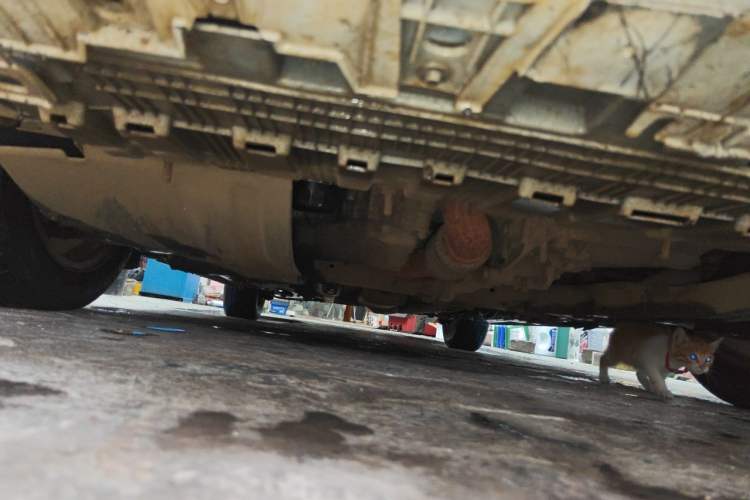 Used Chevrolet Cruze 2018 320 Manual Xuanfeng Edition Chassis Front