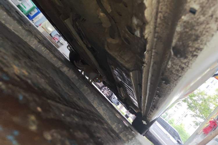 Used Chevrolet Cruze 2018 320 Manual Xuanfeng Edition Chassis Rear Right