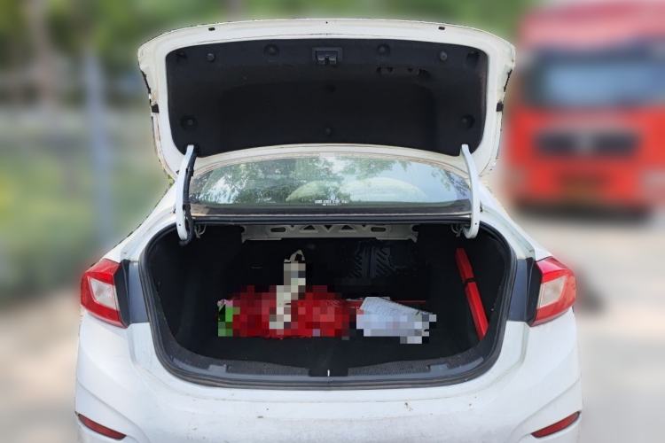 Used Chevrolet Cruze 2018 Redline 320 Automatic Pioneer Edition Trunk