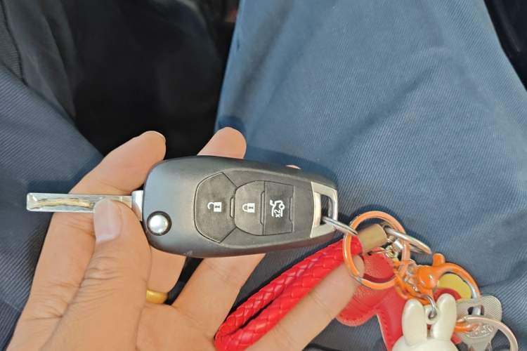 Used Chevrolet Cruze 2018 320 Automatic Pioneer Sunroof Edition Vehicle Key
