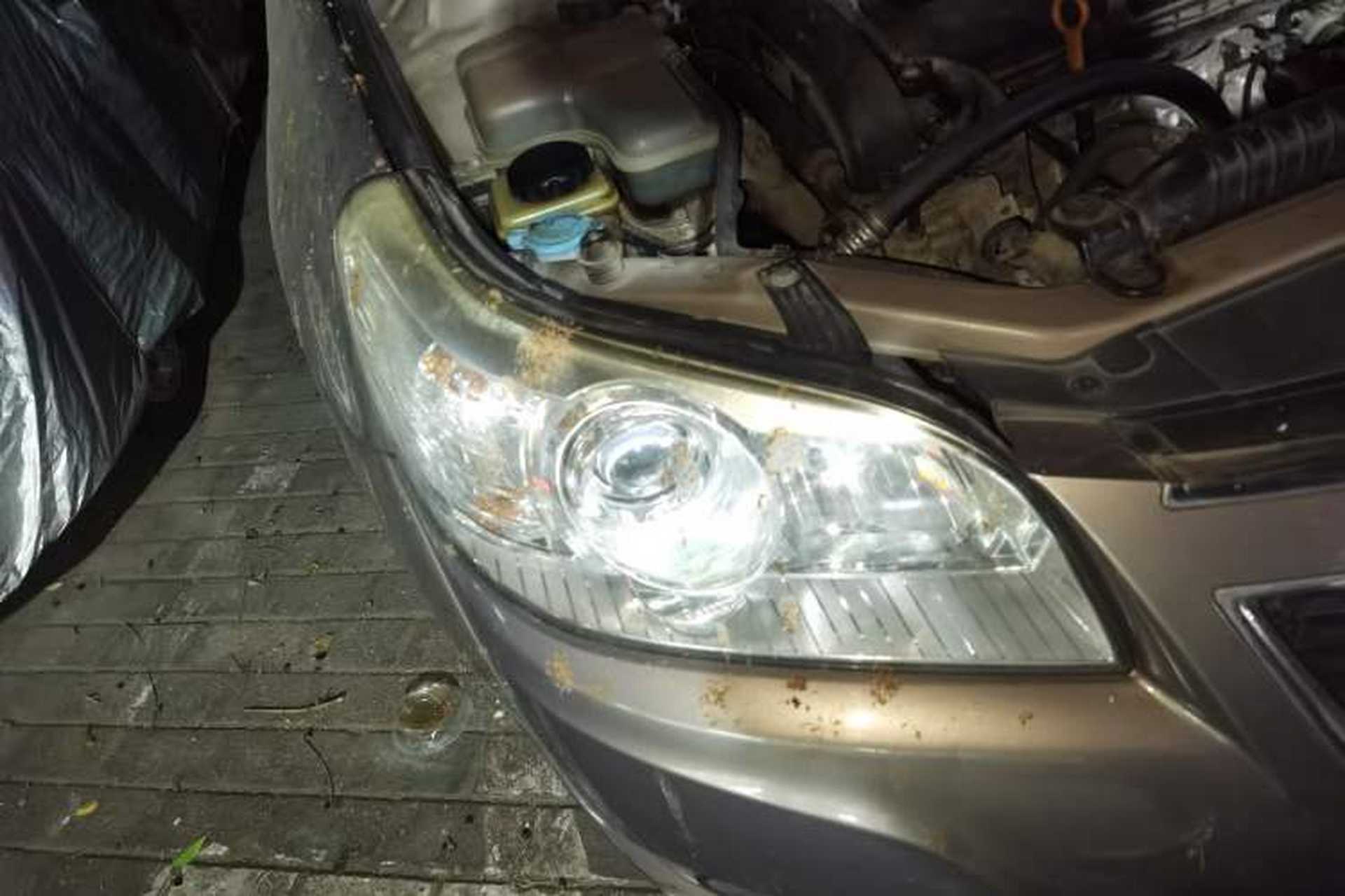 Used Chevrolet Epica 2013 1.8 SL ZhiZhen Edition MT Right Front Headlight