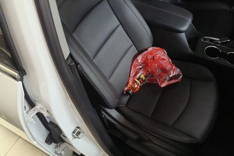 Used Chevrolet Equinox 2017 550T Automatic All-Wheel-Drive Top-Tier Version Right Front Seat
