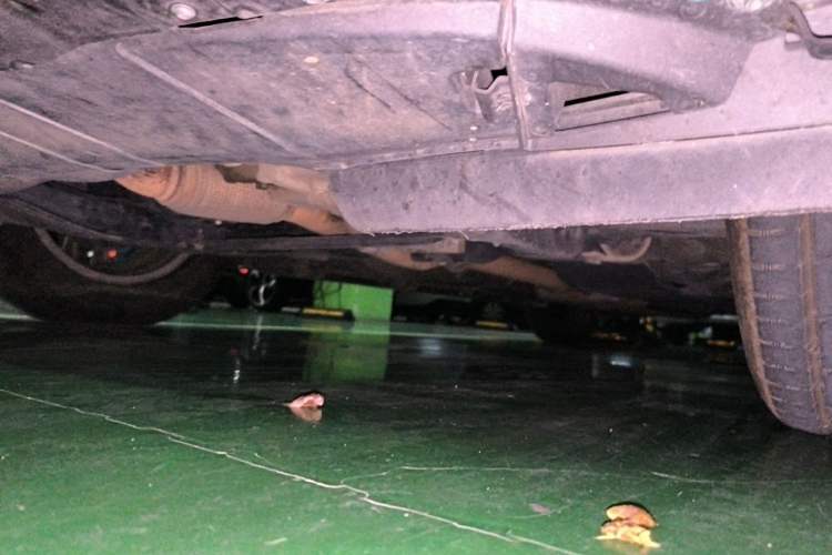 Used Chevrolet Equinox 2018 535T Automatic YuJie Edition Chassis Front Left