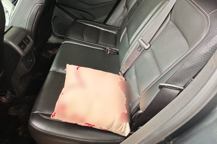 Used Chevrolet Equinox 2018 535T Automatic Chijie Edition Left Rear Seat