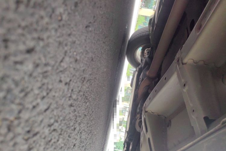 Used Chevrolet Equinox 2018 535T Automatic Chijie Edition Chassis Front Right