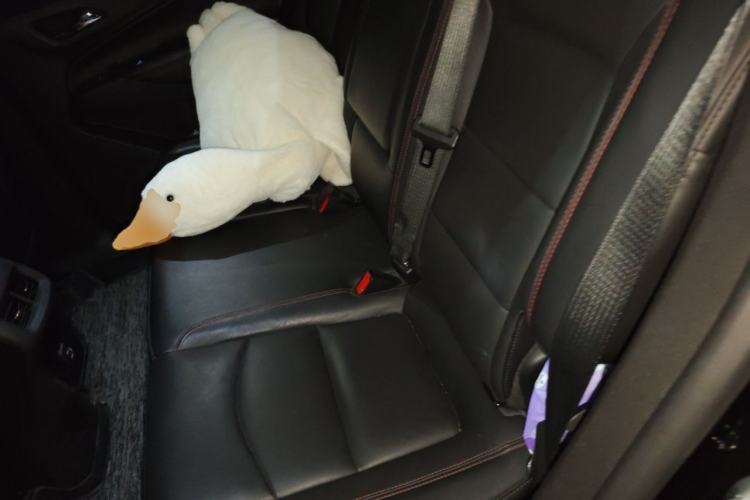 Used Chevrolet Equinox 2019 Redline 550T Automatic All-Wheel-Drive RS Model China VI Standard Left Rear Seat