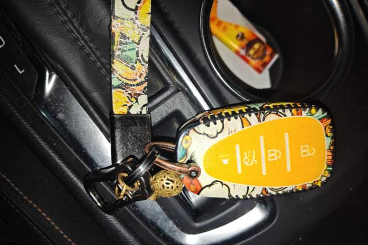 Used Chevrolet Equinox 2019 535T Automatic YuJie Edition China VI Vehicle Key