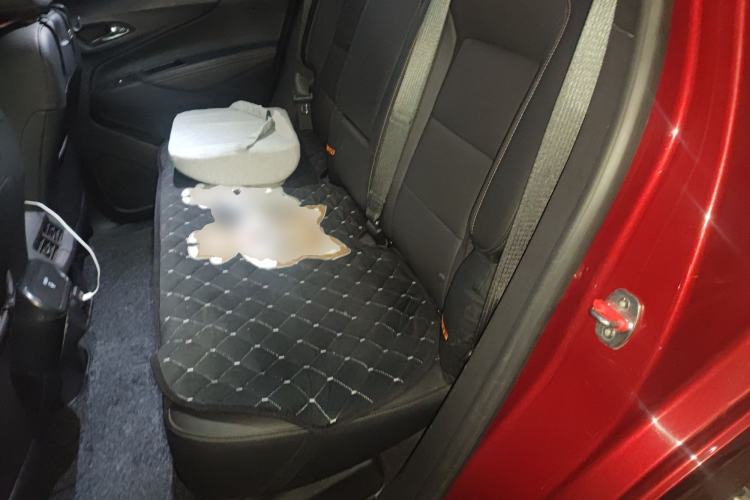 Used Chevrolet Equinox 2019 535T Automatic YuJie Edition China VI Left Rear Seat
