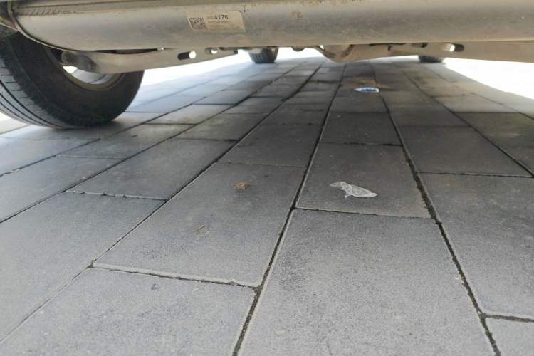 Used Chevrolet Equinox 2021 535T Chijie Edition Chassis Rear