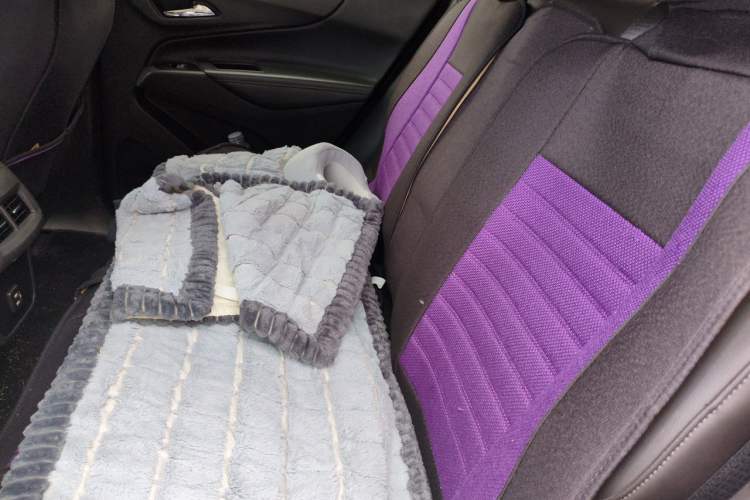 Used Chevrolet Equinox 2021 535T Yujie Edition Left Rear Seat