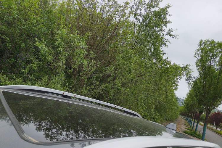 Used Chevrolet Equinox 2021 535T Yujie Edition Roof