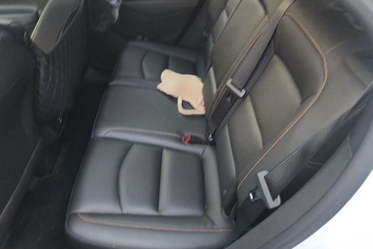 Used Chevrolet Equinox 2021 535T Yujie Edition Left Rear Seat