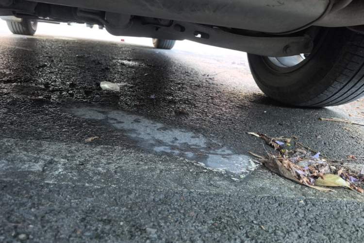 Used Chevrolet Equinox 2022 535T Chijie Edition Chassis Rear
