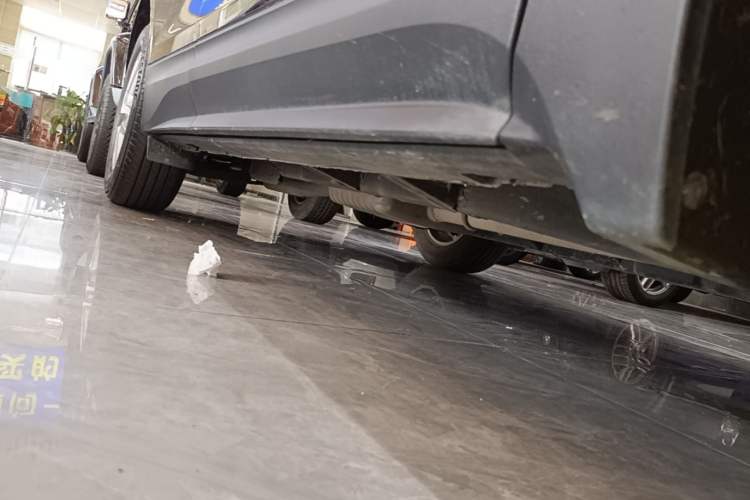 Used Chevrolet Equinox 2022 535T YuJie Edition Right Side Sill
