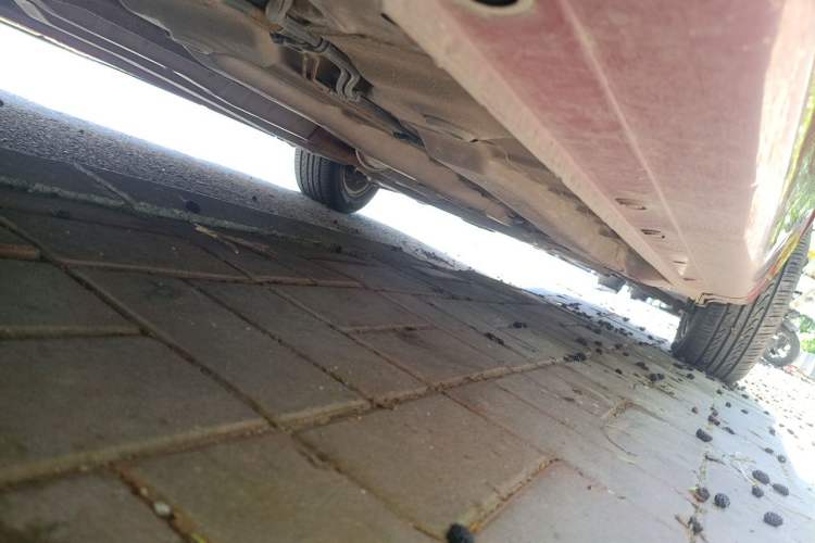 Used Chevrolet Lova 2009 1.6 SX AT Chassis Rear Right